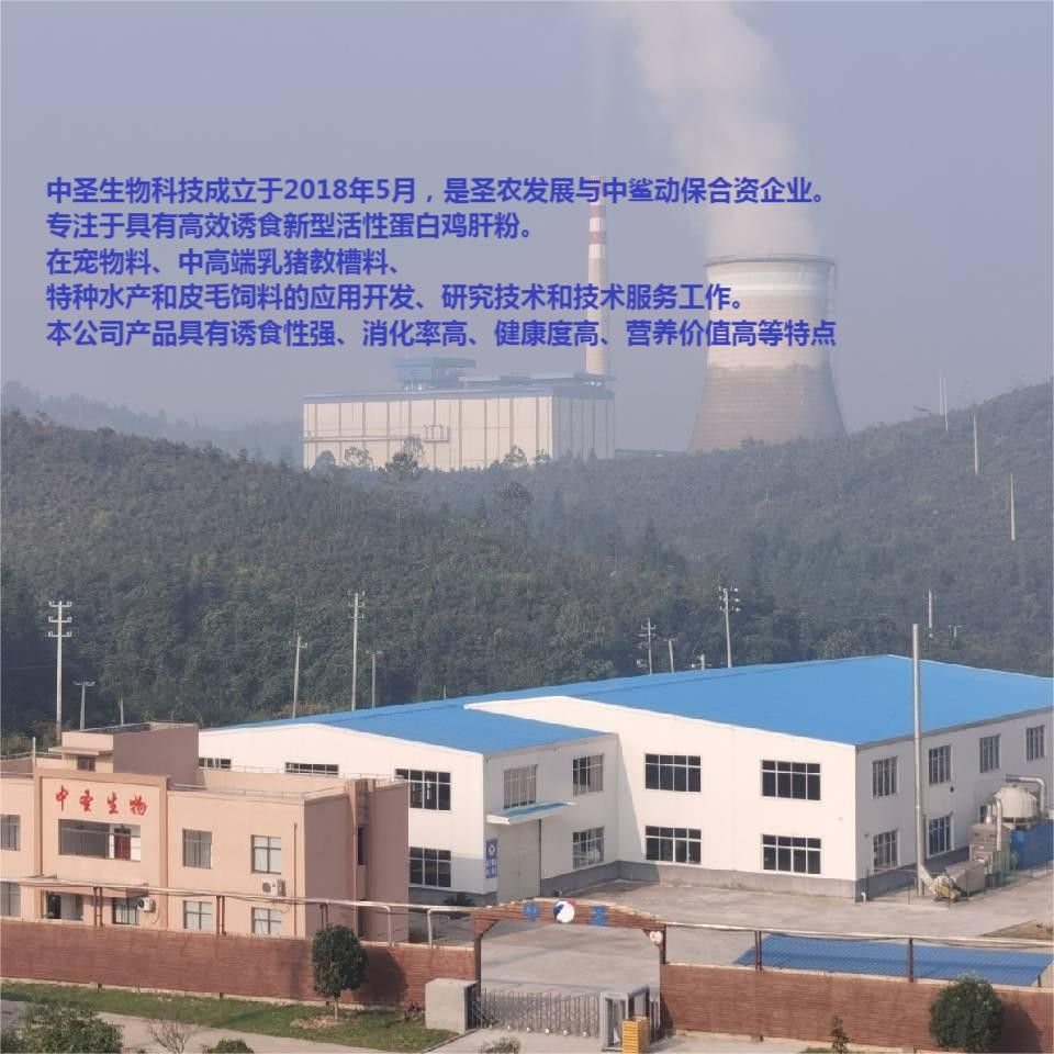吳總頭像.jpg